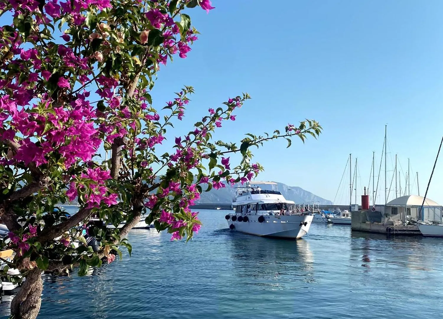 Domo Annalisa Hotel Tortoli